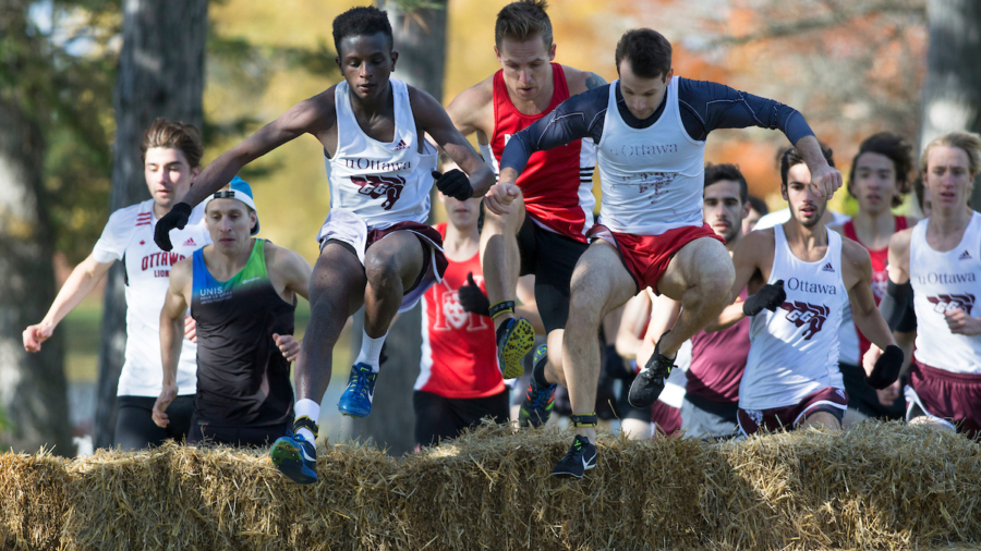 (Ottawa, Canada---13 October 2018) Athletes racing in the 2018 Jim Howe Memorial XC Challenge at Mooney's Bay Park in Ottawa, Canada.