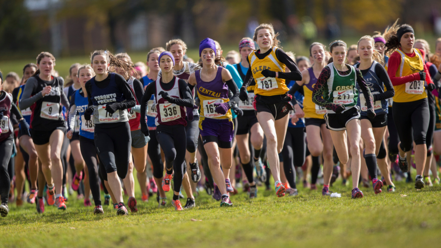 Claire Smith of Glebe CI competes at the OFSAA Cross Country Championships in Waterloo Ontario, Saturday, November 1, 2014.
Mundo Sport Images/ Geoff Robins