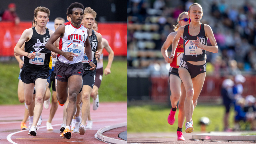 alie-lamarche_seaby_feature_web