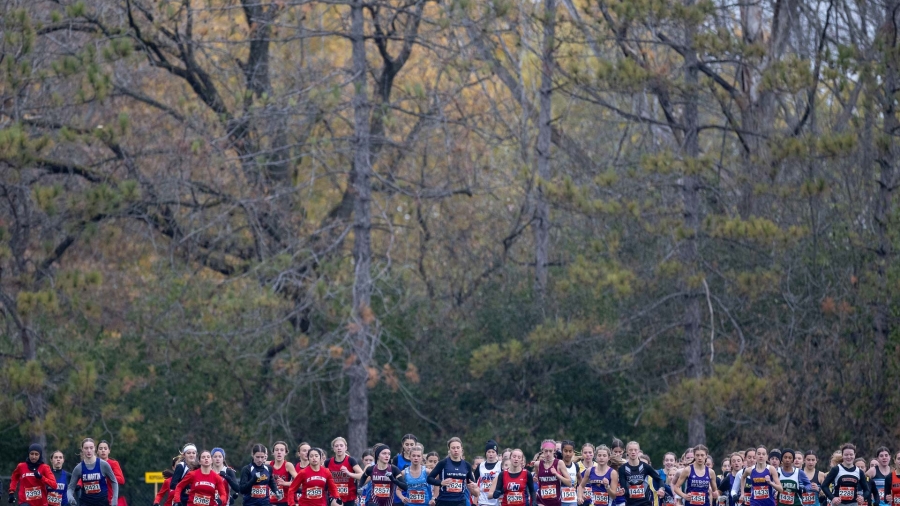 (Ottawa, Canada---04 November 2024) Ashlin Heer of St. Marcellinus (Mississauga) competing in the Senior Girls race at the 2024 OFSAA Cross Country Championships at Mooney's Bay Park., Bronwyn Caithness of St. Martin (Mississauga) competing in the Novice Girls race at the 2024 OFSAA Cross Country Championships at Mooney's Bay Park., Gabby Catalano of St. Marcellinus (Mississauga) competing in the Novice Girls race at the 2024 OFSAA Cross Country Championships at Mooney's Bay Park., Samantha DeMars of Strathroy DCI (Strathroy) competing in the Novice Girls race at the 2024 OFSAA Cross Country Championships at Mooney's Bay Park., Camila Forero of St. Marcellinus (Mississauga) competing in the Novice Girls race at the 2024 OFSAA Cross Country Championships at Mooney's Bay Park., Siena Naisbitt of Sir Frederick Banting SS (London) competing in the Novice Girls race at the 2024 OFSAA Cross Country Championships at Mooney's Bay Park., 1619, Madeline Verbeek of Ursuline College Chatham (Chatham) competing in the Novice Girls race at the 2024 OFSAA Cross Country Championships at Mooney's Bay Park., Alisa Indelicato of Holy Names (Windsor) competing in the Novice Girls race at the 2024 OFSAA Cross Country Championships at Mooney's Bay Park., Eva Andrecyk of Frontenac SS (Kingston) competing in the Novice Girls race at the 2024 OFSAA Cross Country Championships at Mooney's Bay Park., Isla Kittmer of MacKenzie CS (Deep River) competing in the Novice Girls race at the 2024 OFSAA Cross Country Championships at Mooney's Bay Park., Myka Penninga of Emmanuel Christian HS (Fergus) competing in the Novice Girls race at the 2024 OFSAA Cross Country Championships at Mooney's Bay Park., Hayley Muscat of Huron Heights SS (Kitchener) competing in the Novice Girls race at the 2024 OFSAA Cross Country Championships at Mooney's Bay Park., Selena Loaring of Centennial CVI (Guelph) competing in the Novice Girls race at the 2024 OFSAA Cross Country Championships at Mooney's Bay Park., Abigail